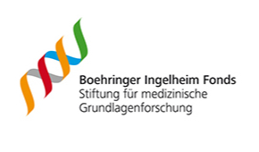 Das Logo Boehringer Ingelheim Fonds, der Stiftung für medizinische Grundlagenforschung