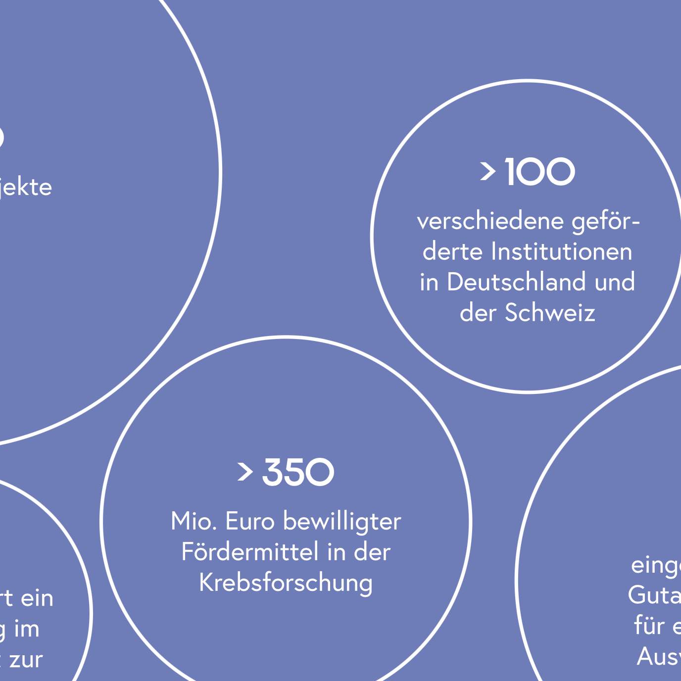 Ausschnitt einer Infografik zu den geförderten Projekten