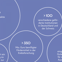 Ausschnitt einer Infografik zu den geförderten Projekten