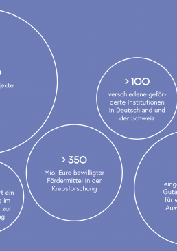 Ausschnitt einer Infografik zu den geförderten Projekten