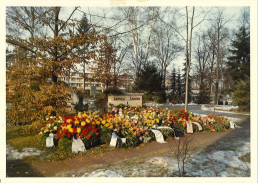 Grabmal Sanders auf dem Nürnberger Südfriedhof